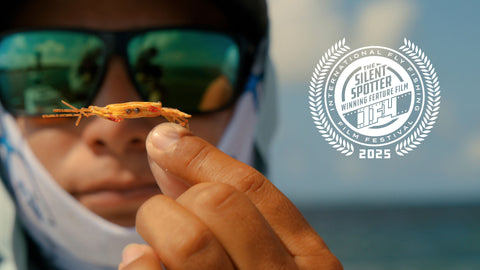 “The Silent Spotter” Wins Audience Choice Award at IF4 2025