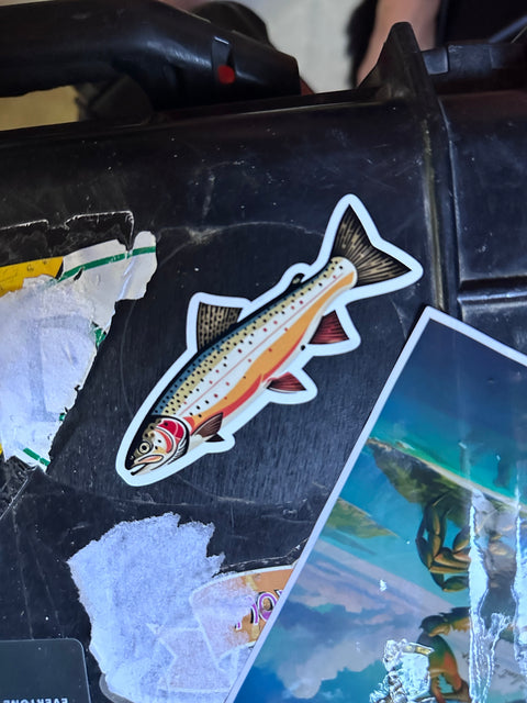 Cutthroat Trout Fishing - Fish Art Sticker