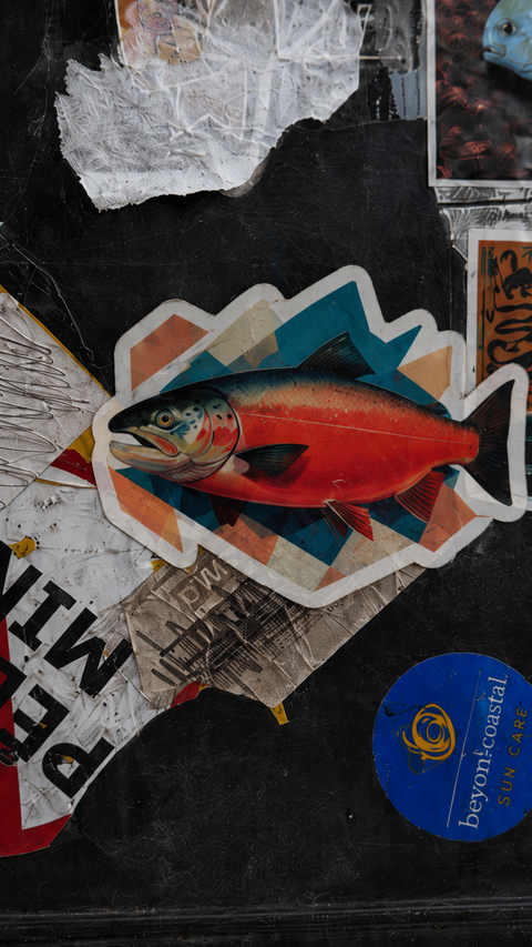 Salmon Fishing - Fish Art Sticker
